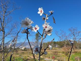 Quinta da Portela - 4