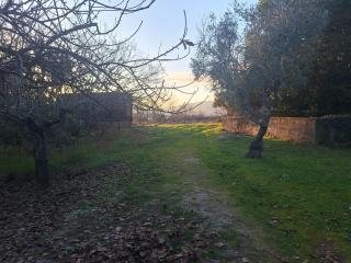 Quinta da Portela - 3