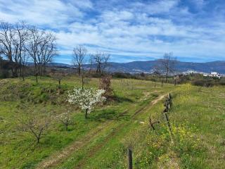 Quinta da Portela - 1