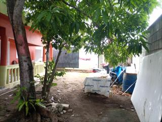 Cabeza De Toro, Locales - 8