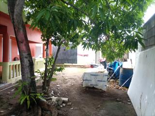 Cabeza De Toro, Locales - 6