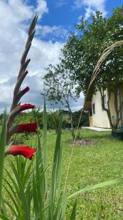 Chácara Morango do amor - 9