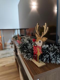 Borjan Apartment Mavrovo - 5