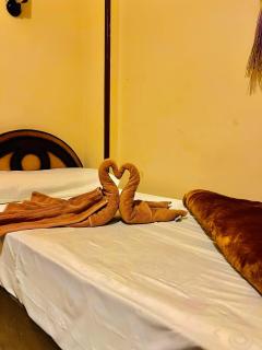 Kilani Hotel Siwa فندق كيلاني سيوة - 4