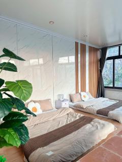 Holly House Mộc Châu - 7