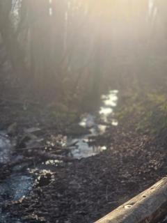 Ferienwohnung Documenta Urbana - 1