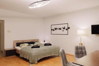 Delightful Apartment with Private Balcony in Perfect Location of Vienna - Vienna - 4