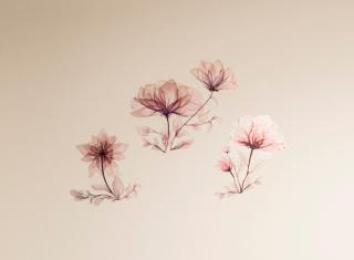 QUEEN HOME Luana - Venise - 3