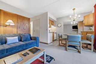 Lift House Lodge, Pet Friendly Studio Condo - Vail - 8