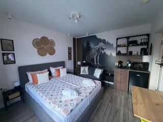 Luxury Studio2 in Hotel Friends Spa - Bansko - 4