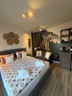 Luxury Studio2 in Hotel Friends Spa - 8