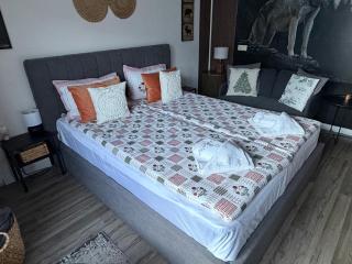 Luxury Studio2 in Hotel Friends Spa - 2