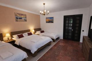 Ambient Deluxe Apartman - 9