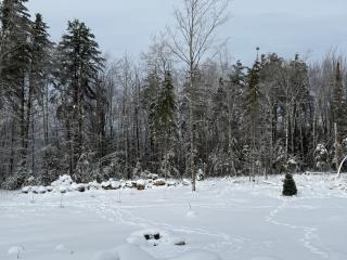 Your 5-BR White Mountain Retreat - 9