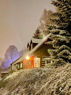 Apartmán Na Zlatníku - 7