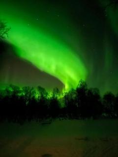 4-person Aurora apartment - 9