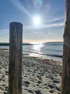 Les Cerisiers du Rouz - 8