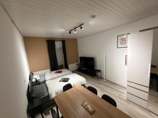 Zentrales 3-Schlafzimmer-Apartment in Würzburg-Hdf - 0