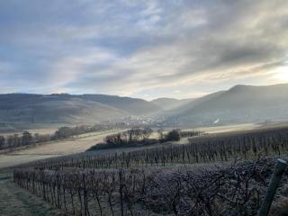 das rote Ferienhaus Terlinden - 2