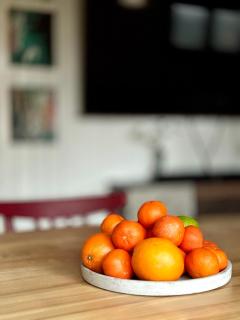 Chaloupka v lese u Kutné Hory -  - 8