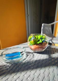 Refugio Encantador - Santo Domingo - 7