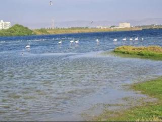 SeaViewApartment - 4