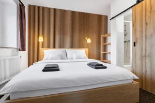 Forest House near Klínovec with 5 Independent Apartments - 9