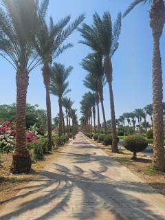 Modern apartment with pool view in Port Ghalib - 6