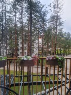 Royal Garden Knezevic - 5