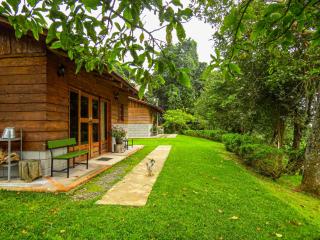 Rancho Amalia - Naranjo - 0