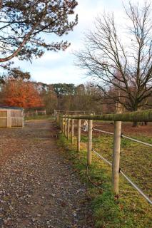 Le Chen Zen - Dalhem - 6