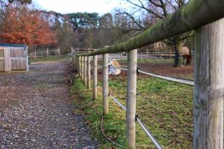 Le Chen Zen - Dalhem - 5