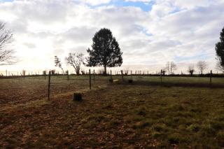 Le Chen Zen - Dalhem - 4