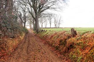 Le Chen Zen - Dalhem - 3