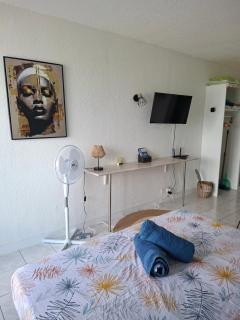 Studio Tico vue mer Trois-Îlets - 1