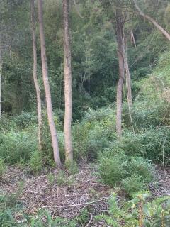 Loft Valdivia - cutipay - 6