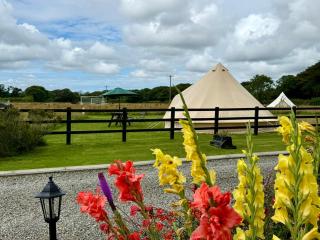 The Beehive - Narberth - 8