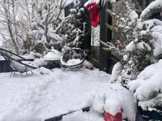 ToTu Tiny House Sauna & wanna ogrodowa -  - 9