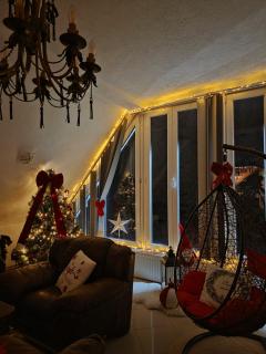 Home Belić Golija - 3