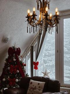 Home Belić Golija - 6