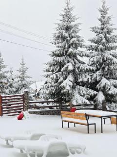 Home Belić Golija - 8