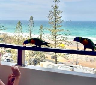 706TheSands Beachfront Apartment at the centre of Surfers Paradise - 9