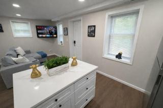 Brand new first floor studio in quiet neighborhood - 0