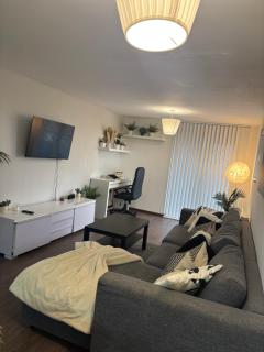 Charming apartment near NEC and Birmingham Airport - 9