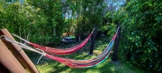 ENTRE PINOS Y LUCEROS ACOGEDORA CABAÑA RÚSTICA - 6