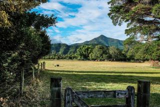 Woodside Bed and Breakfast - 5