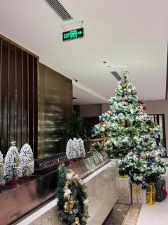 Homestay cao cấp - 7