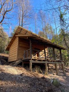 Aventura mágica! Cabañas del bosque con ribera - 5