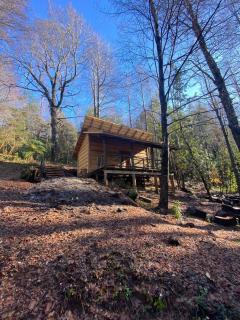 Aventura mágica! Cabañas del bosque con ribera - 4