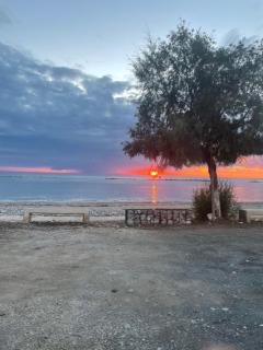 Georgia Apartments - 6